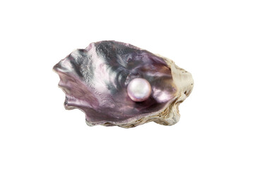 Pearl in the oyster shell isolated on white