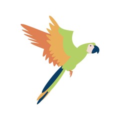 Flying Tropical parrot flat vector isolated illustration © Анна Иванова