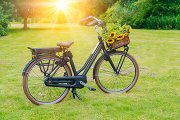 Fototapeta premium Vintage bicycle waiting in Summer sunset time. Picnic time Retro bike with picnic basket. Bouquet yellow sunflowers in bicycle basket in city park. Holiday or countryside lifestyle concept