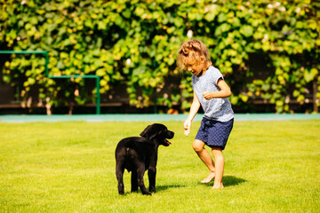 Barefoot girl play with adorable black labrador puppy