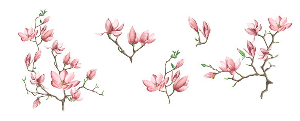 Spring collection of blooming branches magnolia for your design, vector illustration. - obrazy, fototapety, plakaty