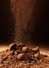 sprinkle with cocoa powder chocolate sweets with truffle on black background