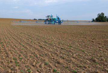 Fototapeta premium Traitement insecticide altises sur colza