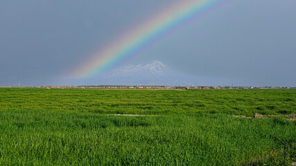 Rural area or meadow, mountain on the horizon. Pasture and mountain landscape. Field with greenery grass and blue sky meadow, heaven, sun. Composition of nature concept. It is in Konya, Turkey.