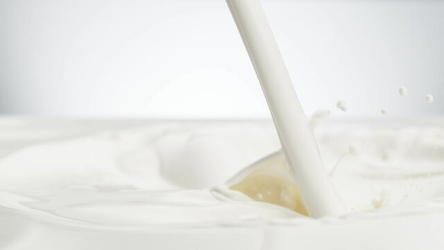 Super slow motion of milk splash isolated on white background. Filmed on high speed cinema camera, 1000 fps.