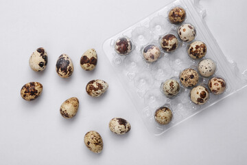 Obraz na płótnie Canvas Tray with quail eggs on gray background. Top view