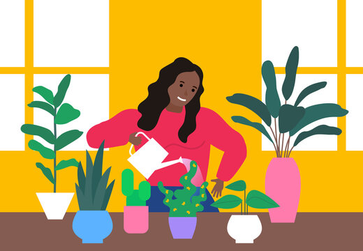 African American Woman Watering House Plants Potted Flowers Vector Illustration