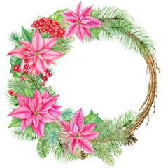 Watercolor christmas pink poinsettia wreath with dry decorative branches. Botanical illustration isolated on white background. Perfect for invitations, card templates