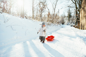 a child with a sled, winter in the forest