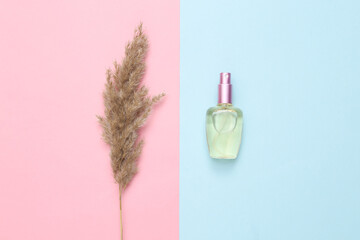 Autumn creative composition. Beige reeds branches and perfume bottle on pink blue pastel background. Flat lay