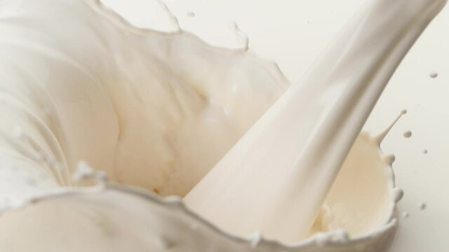 Super slow motion of milk splash isolated on white background. Filmed on high speed cinema camera, 1000 fps.