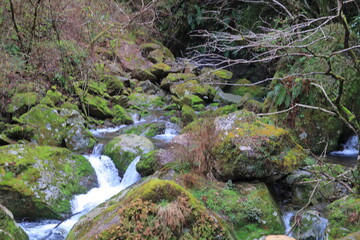 日本の滝百選　大樽の滝
