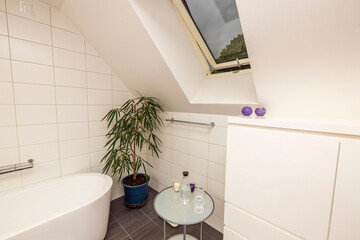 Beautiful view of interior of bathroom in the house. Roof window with flower, coffee table and...