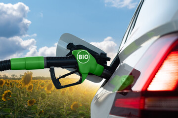 Refueling the car with biofuel	

