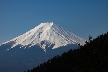 Spectacular and Beautiful Mt.Fuji covered with snow and forest (from Mt.Mitsutoge)