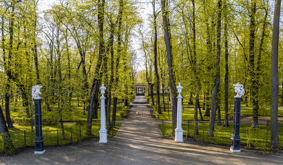 entrance to a beautiful forest through amazing gates decorated with old sculptures