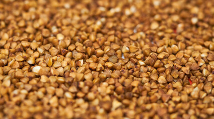 buckwheat groats as background texture for artists