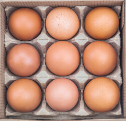 Chicken eggs