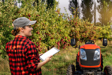 Farmer in an apple orchard with a tractor.