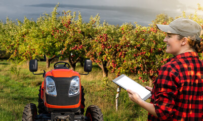 Farmer in an apple orchard with a tractor.