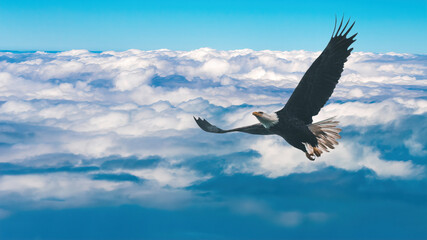 Soar like eagles, a Christian religious concept