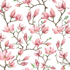 Fototapety  Wektor wzór z brunch kwiat magnolii. Wektor