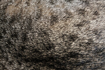 texture background