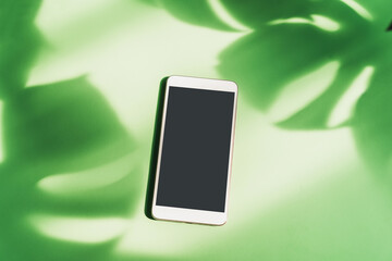 Empty screen smart phone with shadow of tropical green leave on color background with copy space, Top view