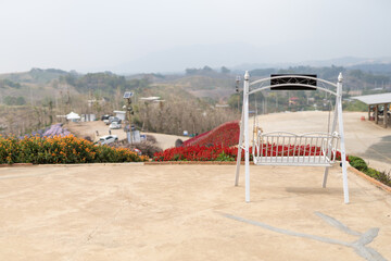 White hanging chair for watching flowers and nature.