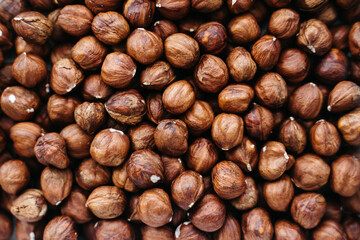 hazelnut background