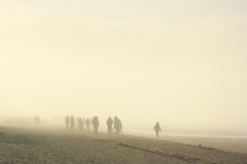 Fog near the sea