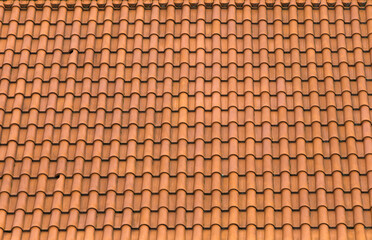 Detail of sloping roof of a traditional house from Alto Minho, Portugal.