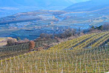 A view from above over vineyards in the Austrian Wachau valley in the early spring on a sunny day