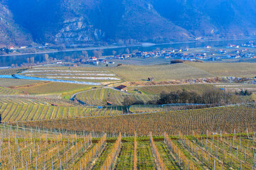 A view from above over vineyards, Danube river and a village in the Austrian Wachau valley in the early spring on a sunny day