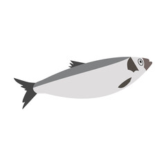 Fish sea herring. Hand-drawn vector, flat style. Animals of the ocean, nature, atlantic. Healthy, wholesome food, source of vitamin D. For recipes, menus, restaurants, cafes, textbooks, illustrations.