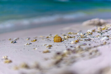 South Walton Beach Bokeh