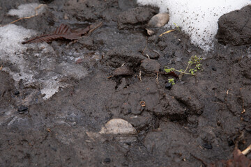 Dirty blurred road with mud and human footprints
