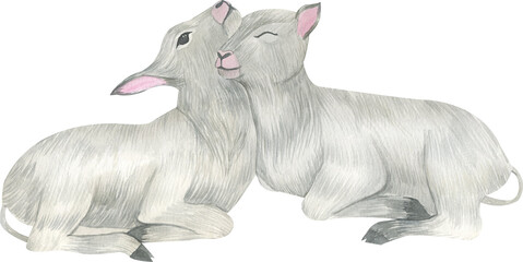 Watercolor lamb. Watercolor white sheep. Easter animals. Cute farm pet.