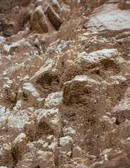 rocky mountain surface background texture, brown and white tone closeup view, photography backdrop,
shallow depth of field