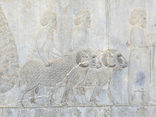 Ancient ruins of Persepolis, located in Iran