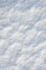 Obraz premium Fresh clean white snow background texture. Winter background with frozen snowflakes and snow mounds. Snow lumps. Seasonal landscape details. Cold weather.