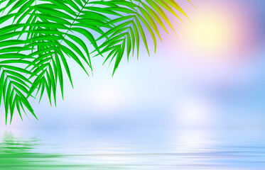 Fototapeta na wymiar Summer empty tropical background with palms and water reflection. Summer sunny day. 3d illustration