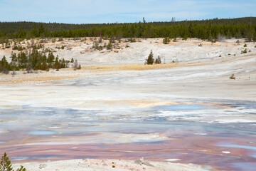 Norris geyser basin