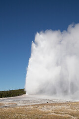 Geyser