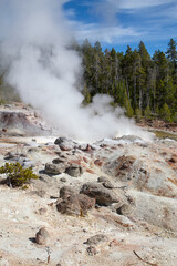 Norris geyser basin