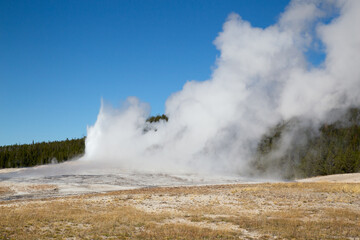 Geyser