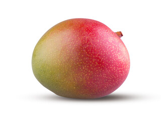 Whole mango isolated on white background. Red mango fruit close up. Fresh and tasty sweet exotic fruit. Shiny beautiful ripe mango. Healthcare, nutrition and cooking concept