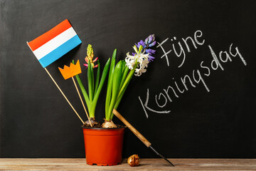 Koningsdag or King's Day is a national holiday in the Kingdom of the Netherlands. Painted oranges and the flag of the Netherlands on a chalkboard background