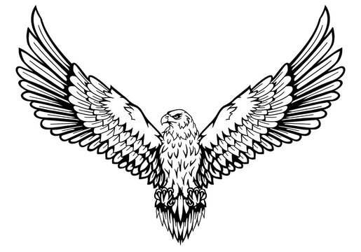 Transparent White Eagle Png - Eagle Tattoo Black And White, Png Download ,  Transparent Png Image - PNGitem