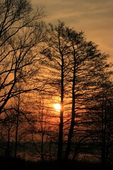 Fototapeta premium sunset